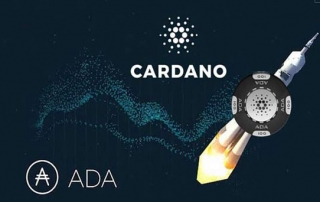 کاردانو Cardano چیست